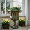 Worth Garden 24.5" H. Metal Urn Planters 1-Pack - Bronze