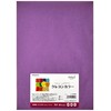 Nagatoya Shoten Crayon Color A4 Murasaki, 20 Sheets Na-CR009