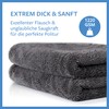 Carbigo® 1200 GSM Profi Mikrofasertuch – Extrem saugstark & Ultra