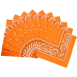 FANNI YOUPIN 100% Cotton Bandanas/Fashion Scarf for Men & Women Paisley printed Large 10pcs (Orange)