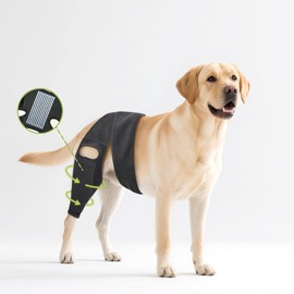 Lushnessu Adjustable Dog Leg Brace - ACL, Torn Ligament & Hip Support with Breathable Neoprene & Stable Support - Surgery Recovery & Mobility (Size S)