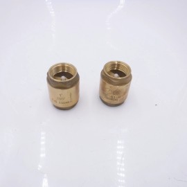 Red-White Valve Corp 2 Pack RWV Corp 232AB LF Brass In-Line Check Valve 1"FNPT 200 PSI Spring Ld