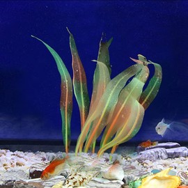 REIRQIE 1Pcs Aquarium Decoration Orange Plants Simulation Artificial Water Grass Plastic Fish Tank Decor Plants Silicone Glowing Kelp Ornament Aquarium Accessories,Orange,7.08in