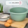 Westmark Mixing/Baking Bowl 2.5 L with Pouring Spout Plastic Mint
