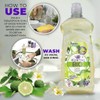 KUXTAL Dish Soap Liquid 3 Pack | Biodegradable & Eco-Friendly
