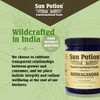 Sun Potion Ashwagandha (Wildcrafted) | 111 Grams | 88 Servings