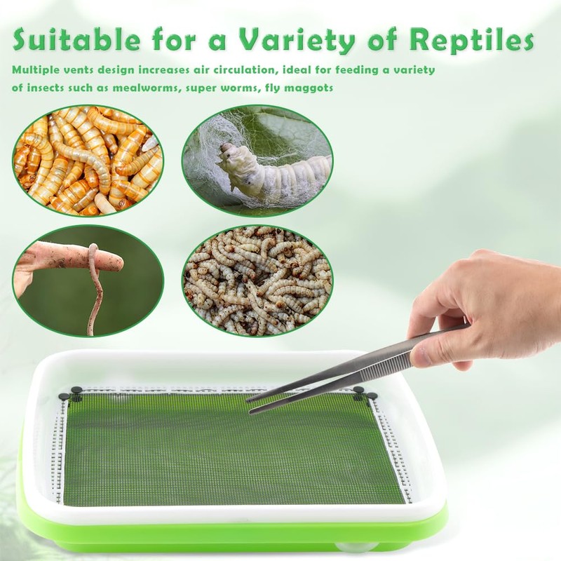 1 Pack Mealworms Breeding Kit Mealworms Keeper with 2 Pcs