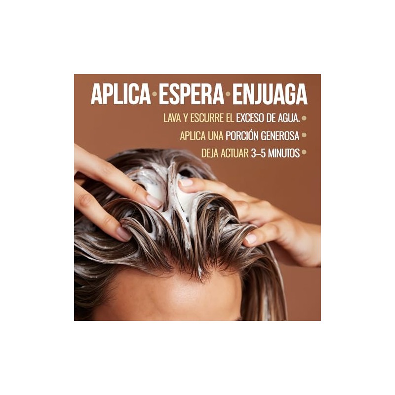 TRATAMIENTO CAPILAR 350mL