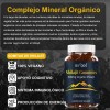 Gomitas Shilajit-refuerzo Inmunológico Y Energía Natural