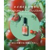 [2025 Summer Limited] Botanist Hair Oil Moist Fruit Tomato &