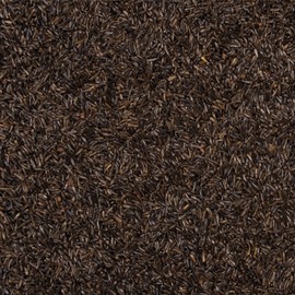 Wild Delight Nyjer Seed, 5 lb