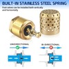 Brass Foot Valve 1 inch NPT Heavy Duty Spring Mesh