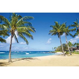 Yeele 10x8ft Seaside Backdrop for Photography Sandy Beach Palm Trees Background Summer Tropical Ocean Outdoors Nature Scenic Kids Adult Holiday Travel Photo Booth Shoot Vinyl Studio Props