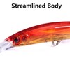 ABS Plastic Fishing Lure with Barbed Hooks Lifelike 3D Minnow
