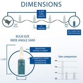 Novelty Lights 5.5 Feet 10 Bulb Clear Mini Light String on Green Wire, Non-Connectable Incandescent Fairy Lights for Bottles and Crafts, 4" Bulb Spacing, 24" Lead, Stackable Fused Plug