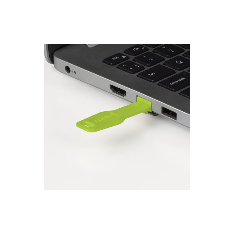 LINDY RJ45 Port Blocker Key, Green