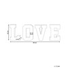 Proycon 4-Piece Clever LED Decoration Light Letters Love USB Multi-Coloured