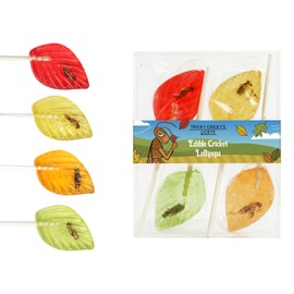 Tricky Cricky's Lickys - Gourmet Edible Bug Candy Lollipops - Edible Insect Cricket Lollipops - Weird Candy for Pranks, Gag Gift, or Stocking Stuffer - 4 Large Bug Suckers in a Gift Box