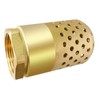Brass Foot Valve 1 inch NPT Heavy Duty Spring Mesh