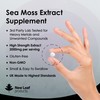 Sea Moss Tablets Extract High Strength 2000mg - Sea Moss