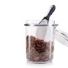 Rockland Guard Large Scoops Set - Ideal for Canisters, Ice
