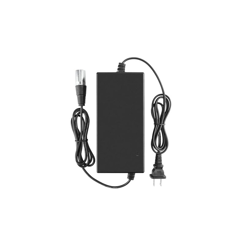 Tomatosd 29V 5A SLA Battery Charger Compatible with Mobility Electric