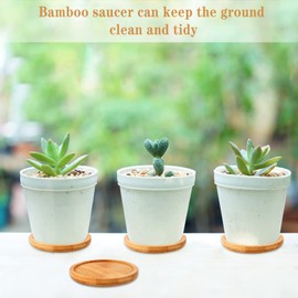 6 PCS Bamboo Plant Saucers, 3.3 Inch Round Plant Pot Tray Bamboo Plant Tray Small Bamboo Round Saucers for Holding Flower Plant Cactus Potted Succulent Planters Cups