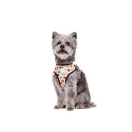 Reversible Harness for Dogs Model Tattoo, the Pet complement, with Neoprene Fabric and Reflective Bands, Quality and Design (Size L)