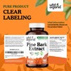 Wild & Organic Pine Bark Extract Capsules 300 mg -