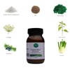 Formula Basic Bitter Herbs - 125 g Powder - Detoxification