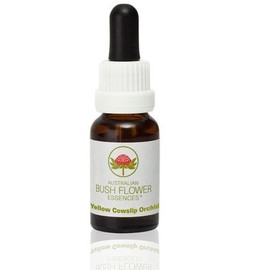 ABFE Yellow Cowslip Orchid 15Ml