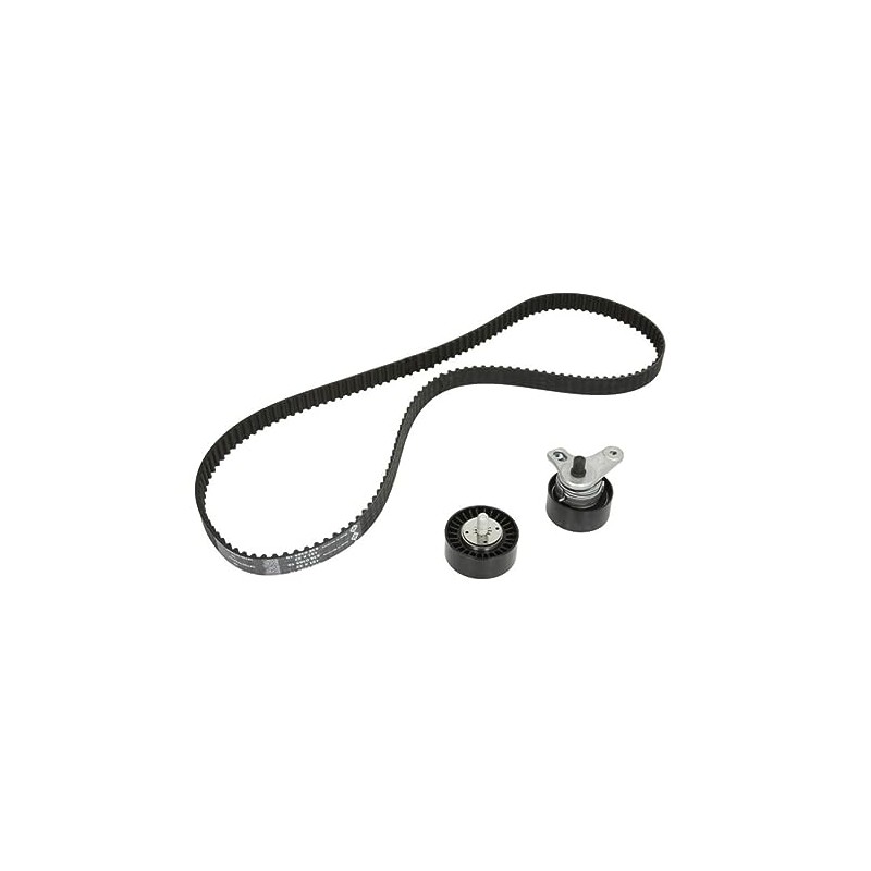 INA 530 0572 10 Timing Belt Kit