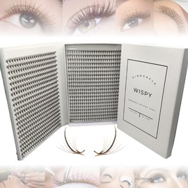 Wispy | 1200 Fans | XXL Box - Speedy strips | Premade wispy volume fans for professional eyelash extension, promade lash tool | Premade spike + Volume Fans | Handmade in Vietnam (5D | D | 9-13mm | Brown)