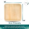 Planet Pantry Disposable Palm leaf Party Pack 10" (25 pcs)