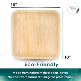 Planet Pantry Disposable Palm leaf Party Pack 10" (25 pcs) & 7" Square Plate (25 pcs) Bamboo Like Style - Paper and Plastic Alternative