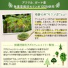 JUJUBODY モリンガ茶 無添加 モリンガ100％ 無農薬 未焙煎 ノンカフェイン モリンガティー ガーナ産【奇跡のモリンガ著者監修】 (12パック)