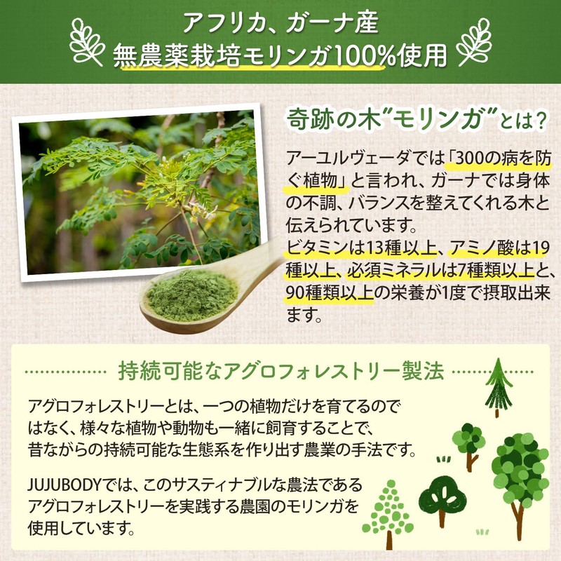 JUJUBODY モリンガ茶 無添加 モリンガ100％ 無農薬 未焙煎 ノンカフェイン モリンガティー ガーナ産【奇跡のモリンガ著者監修】 (12パック)