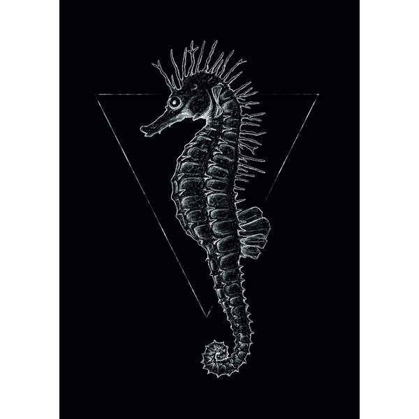 Komar Wall Picture | Sea Horse Black | Poster Picture Living Room Bedroom Decoration Art Print | No Frame | P079D-50x70 | Size: 50x70 cm (Width x Height)