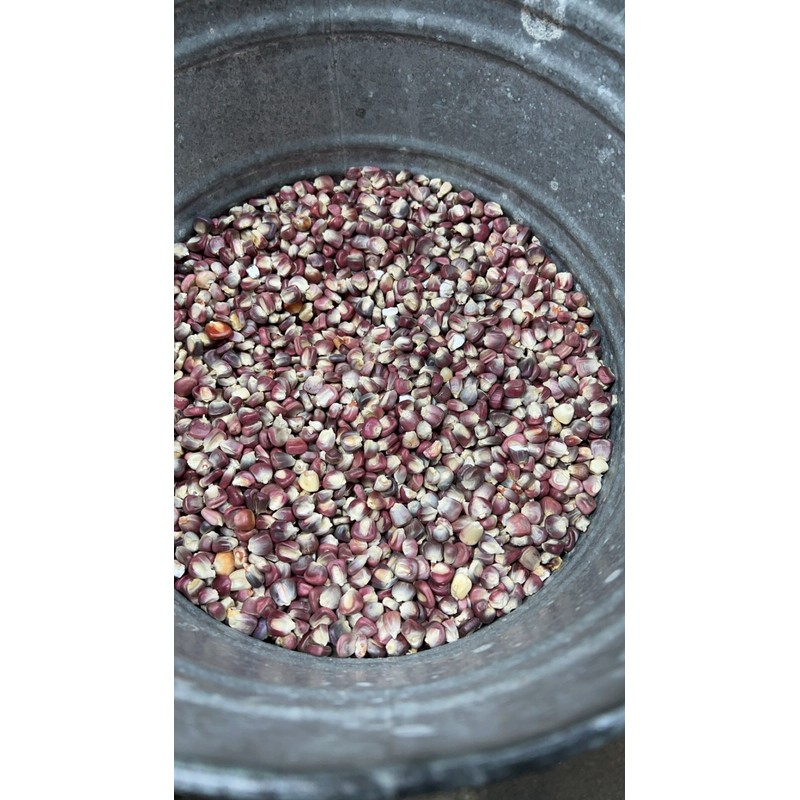 Bulkbuyz1 Purple Hominy Corn- Maiz para Pozole Morado Bulk No