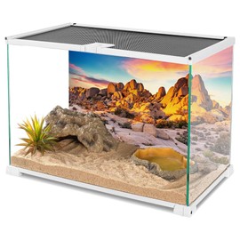 YongFoto Reptile Terrarium Background 36x18 inch Reptile Tank Background Desert Rocky Bush Thorns Western Wilderness Reptile Habitat Background Bearded Dragon Fish Tank Aquarium Background Backdrop