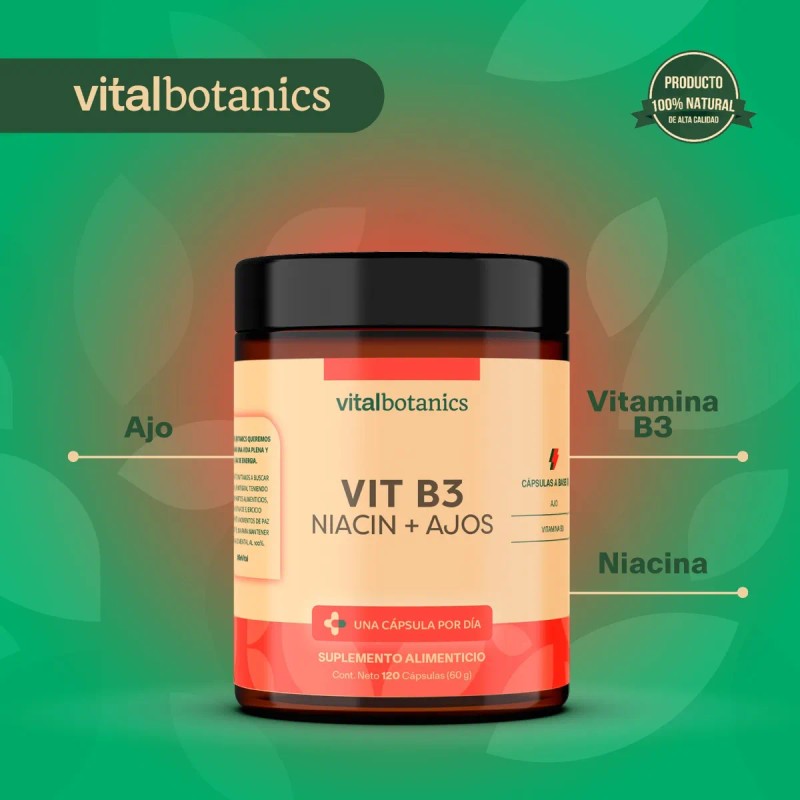 Vitalbotanics Niacina Vitamina B3 Con 120 Capsulas De 500mg Sabor