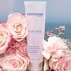 pitomer Phytomer Rose Visage Cleansing Gel 150ml + Select a free gift / 피토메르 로제비자쥐 클렌징젤 150ml+증정품 선택