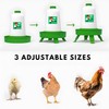 IDYFODOL Chicken Feeder & Waterer Set with Poultry Rings, Pet