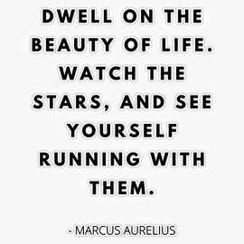 Dwell On The Beauty Of Life, Stoic Quote, Marcus Aurelius Bumper Sticker Vinyl Decal 5"