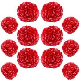 Ruidee 12-Piece Tissue Pompoms - 10in & 12in Hanging Flowers for Wedding Party Decoration (Red)