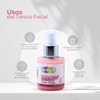 Vemare Cosmetics Tónico Facial Rosas Con Hamamelis, Benjuí Y Aloe