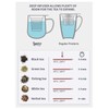Sweese 20 OZ Porcelain Tea Mug with Infuser and Lid,