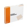 INTRASITE CONFORMABLE DRESSING 10X10CM 10 DRESSING - 10