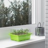 WELLGRO Mini Greenhouse with 6 Plant Labels for up to