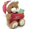 Chantilly Lane ANIMATED CHRISTMAS BEAR RECORD/PLAY MESSAGE & SINGS MERRY